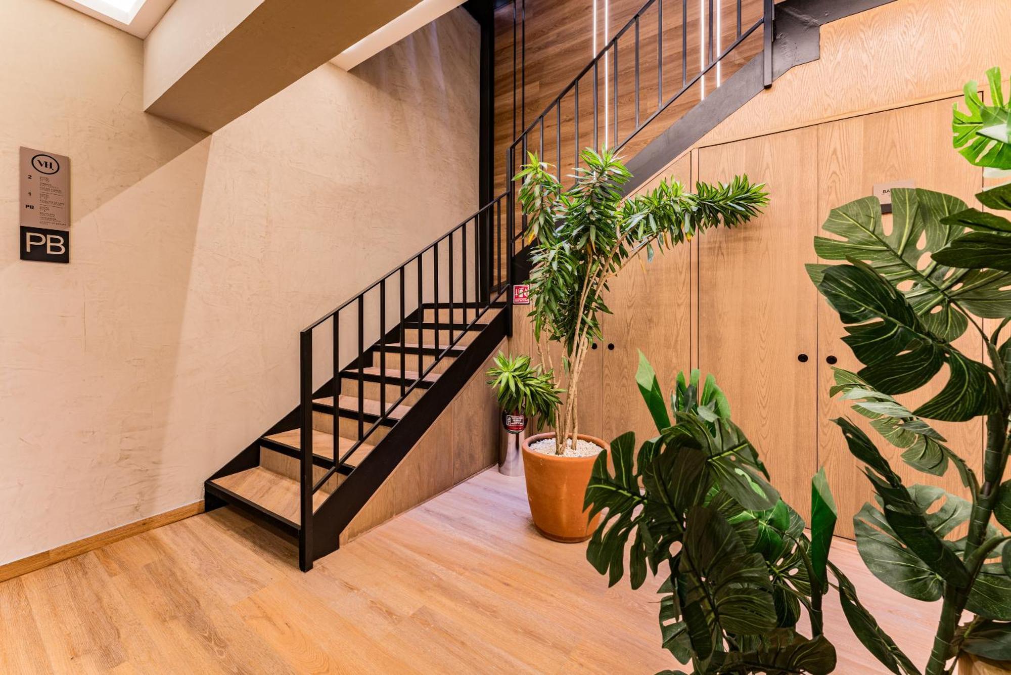 The Boutique Suites 187 By Vh Mexico City Exterior photo